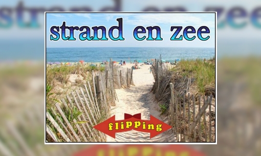 Plaatje Flipping - Strand en zee