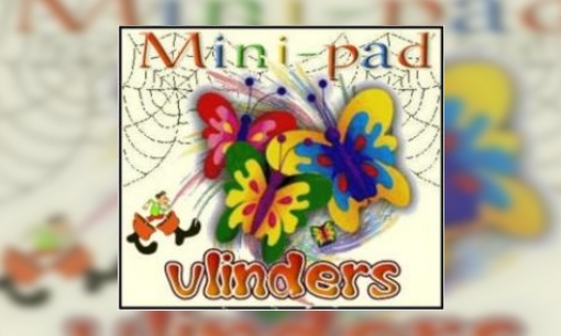 Plaatje Mini-pad vlinders