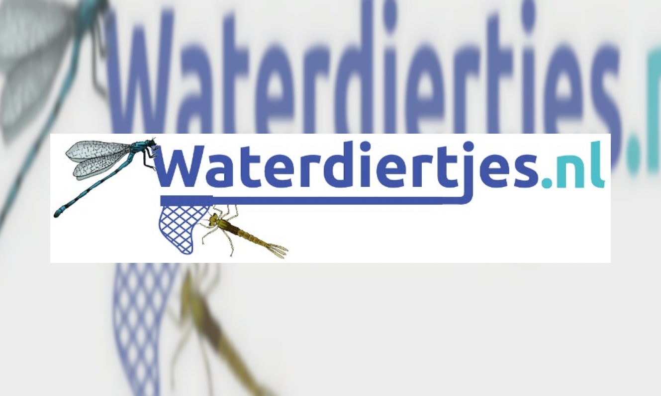 Plaatje Waterdiertjes.nl