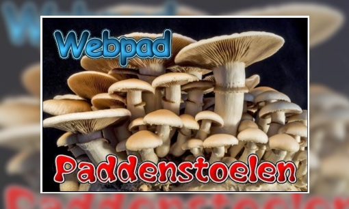 Plaatje Webpad paddenstoelen