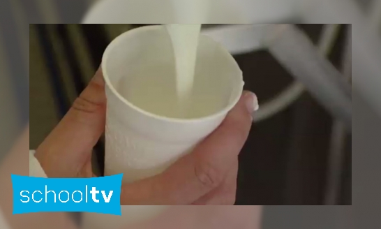 Plaatje Hoe wordt yoghurt gemaakt?