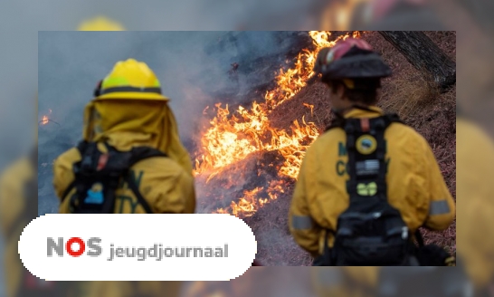 Plaatje Brandweer Los Angeles bang voor nieuwe branden door harde wind