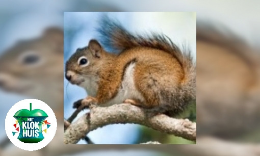 Plaatje Dieren bewaren