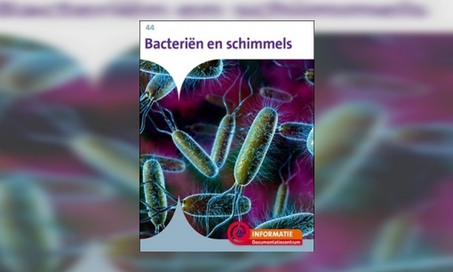 Plaatje Bacteriën en schimmels