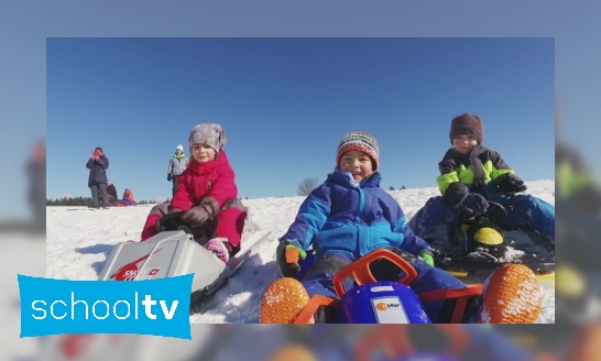 Plaatje Sleeën op de berg