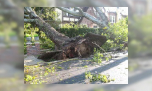 Plaatje Windstoten en storm