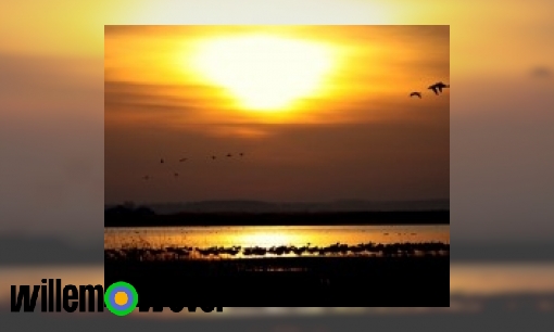 Plaatje Waarom ben je vaak blijer als de zon schijnt?