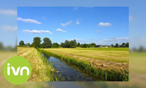 Plaatje Leren over slootjes