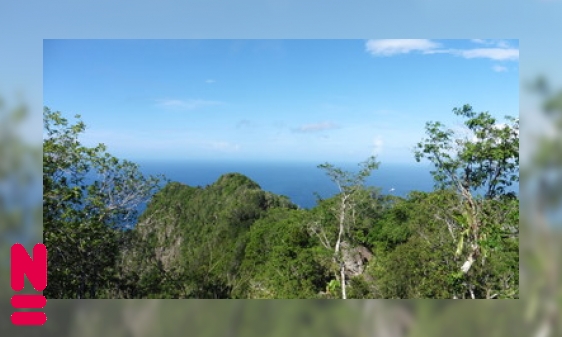 Plaatje Caribische soortenrijkdom in kaart brengen: hoe doe je dat?