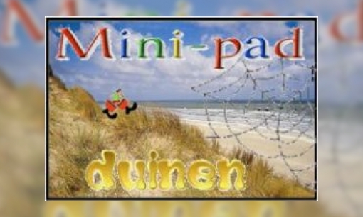 Mini-pad duinen