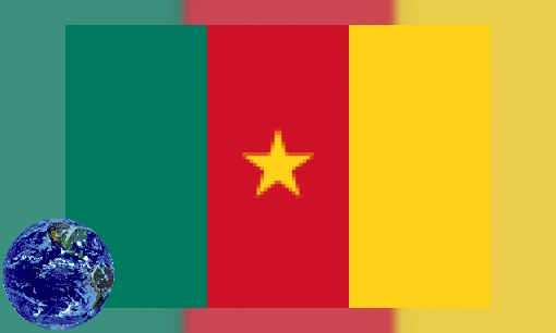 Plaatje Kameroen