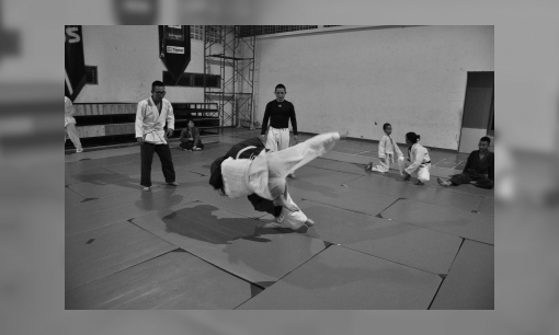 Plaatje Judo