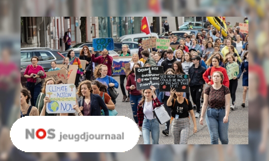 Plaatje Wat mag wel en niet bij een protestactie?