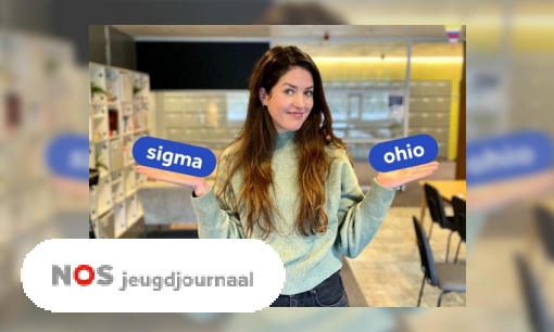 Plaatje Kinderwoord van het jaar: Stemmen maar: Sigma of Ohio?