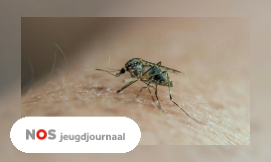 Drie vragen over de ziekte malaria