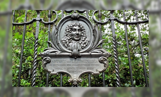 Plaatje Antoni van Leeuwenhoek