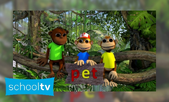 Letterjungle - De letter t: pet