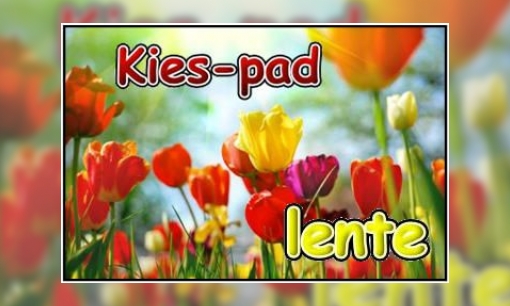 Plaatje Kies-pad lente