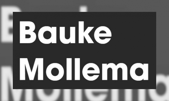 Plaatje Bauke Mollema