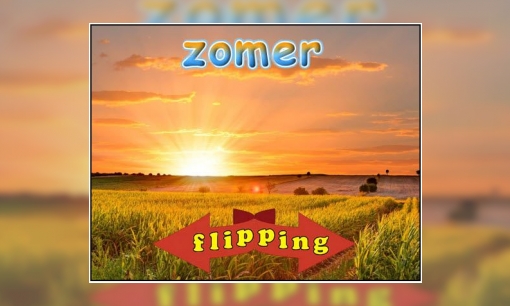 Plaatje Flipping - Zomer