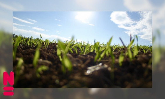 Zichzelf kopiëren, planten kunnen het!