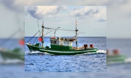 Hoeveel vissen vangen vissers op een vissersboot per dag?