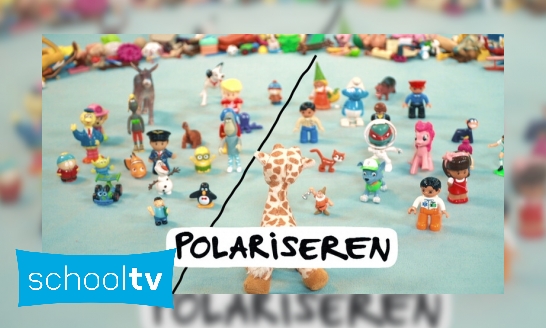 Plaatje Wat is polariseren?