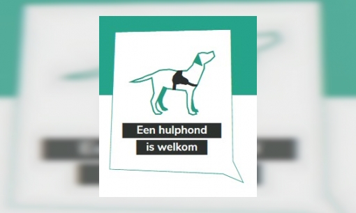 Plaatje Welke soorten hulphonden zijn er?