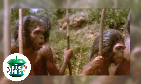Plaatje Ontstaan van de mens - Homo erectus