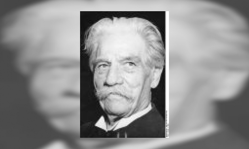 Plaatje Albert Schweitzer