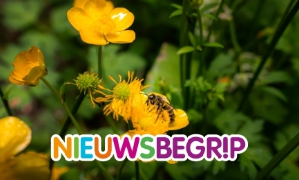 Plaatje Hoe gaat het met de planten en dieren in Nederland?