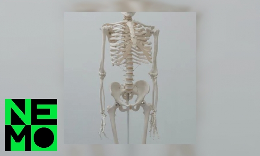 Plaatje Waarom hebben we botten?