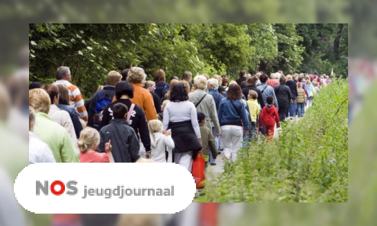 Drie vragen over de avondvierdaagse