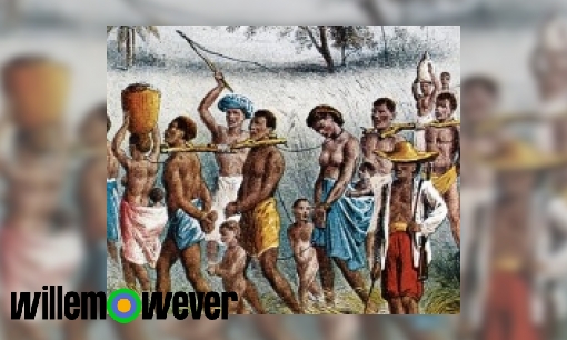Plaatje Waarom werden er slaven naar andere delen van de wereld gehaald?
