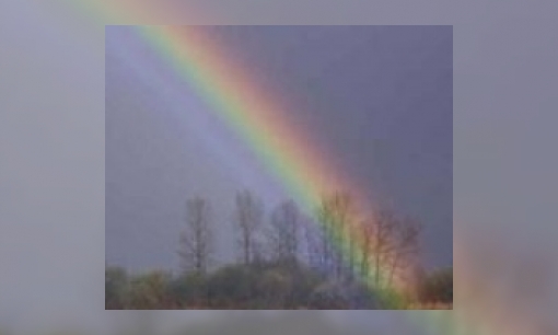 Plaatje Hoe komen kleuren in de regenboog?