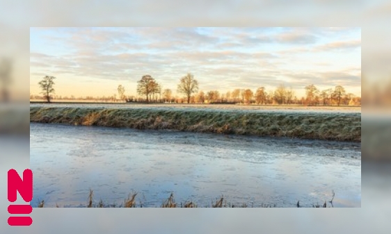 Planten en dieren in de kou