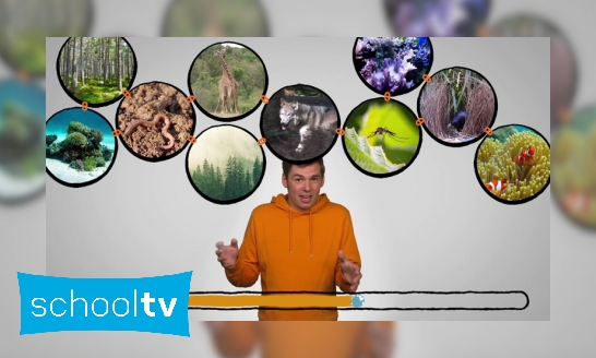 Plaatje Wat is biodiversiteit?