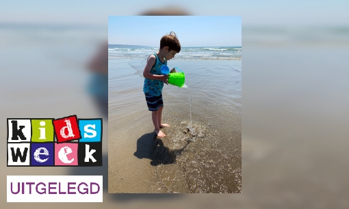 Plaatje Uitdrukking uitgelegd: ‘Het is water naar de zee brengen’