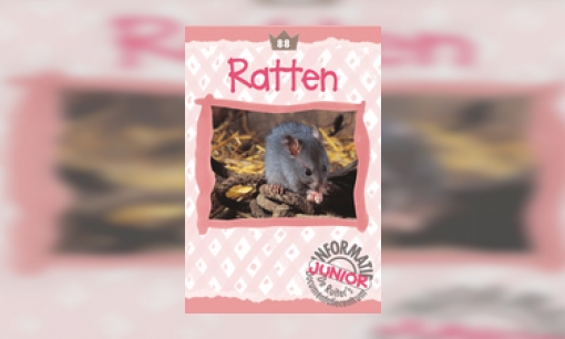 Plaatje Ratten