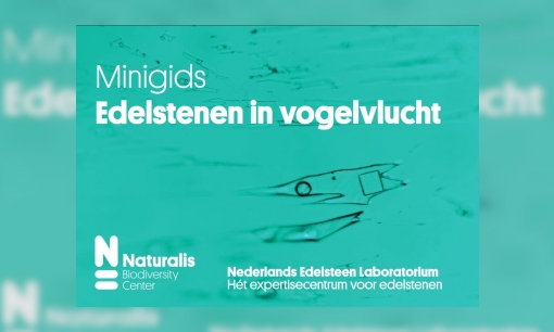 Minigids Edelstenen in vogelvlucht