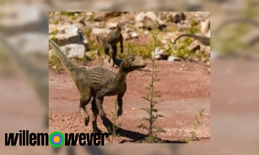 Plaatje In welk tijdperk leefden dinosaurussen?