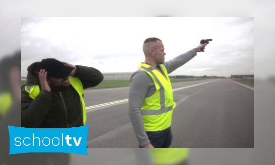 Plaatje Hoe verjaag je vogels op Schiphol?