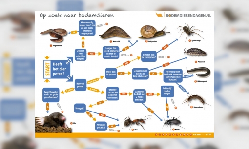 Zoekkaart bodemdieren