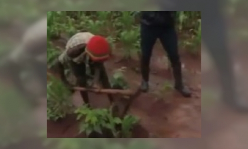 Plaatje Hoe leven kinderen in Malawi (deel 1)?