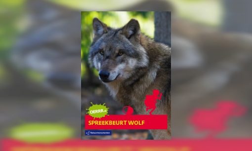 Plaatje Spreekbeurt over de wolf