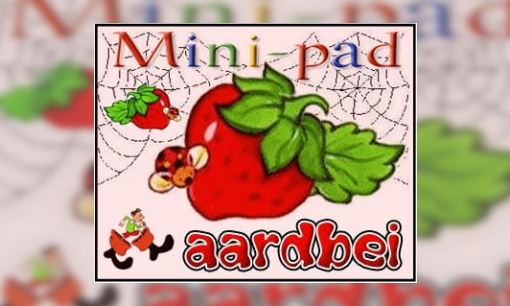 Mini-pad aardbei