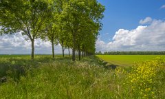 Plaatje Natuur