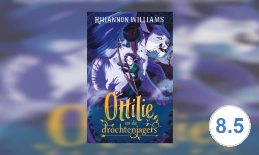 Plaatje Ottilie en de drochtenjagers