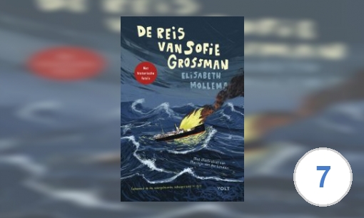 Plaatje De reis van Sofie Grossman