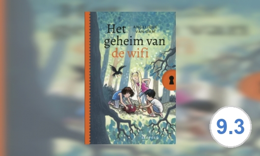 Plaatje Het geheim van de wifi